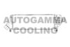 AUTOGAMMA 103761 Intercooler, charger